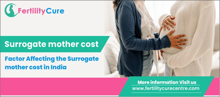 Surrogate Mother Cost